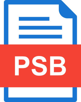 What Exactly is a PSB File