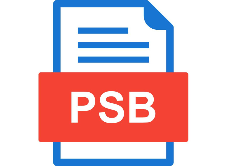 What Exactly is a PSB File